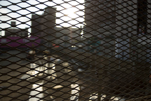 istock Urban Setting Through Metal Fence 533133149