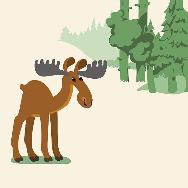 moose im wald - forest woods hiking dirt road stock-grafiken, -clipart, -cartoons und -symbole
