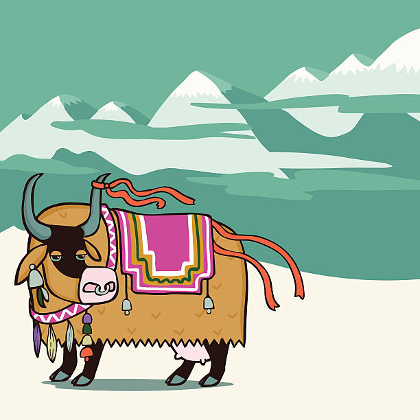 Tibetan yak vector editable illustration in cartoon style tibetan ethnicity stock illustrations