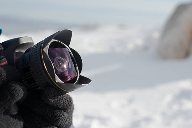 istock Using wide angle lense, fisheye photography 533136961