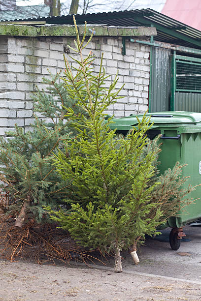 istock Christmas Is Over XXXL 533151095