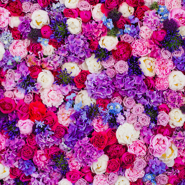 istock Wall made of roses different colours background 533151667