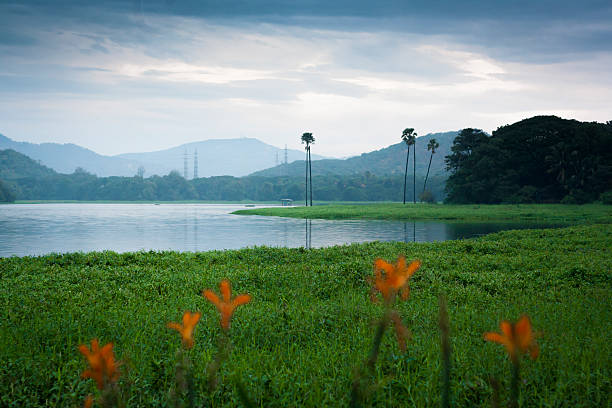Scenic early morning at Powai lake, mumbai