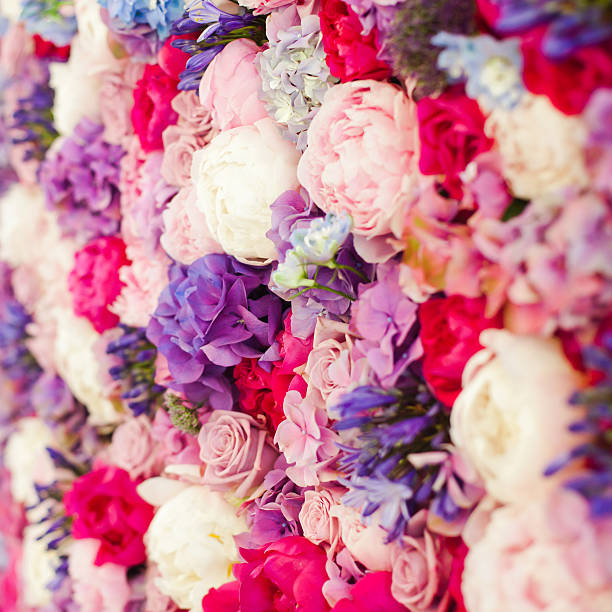 istock Wall made of roses different colours background 533152401