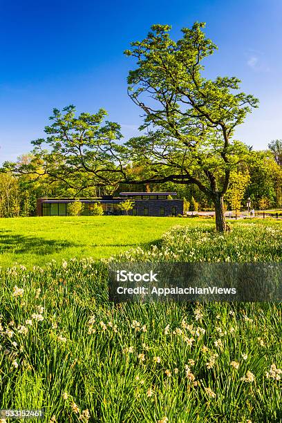 Tree And The Visitor Center At Cylburn Arboretum Baltimore Mar Stock Photo - Download Image Now