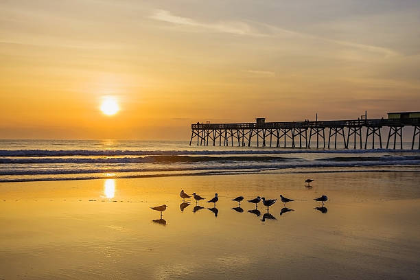 istock Sunrise over the Ocean 533152867