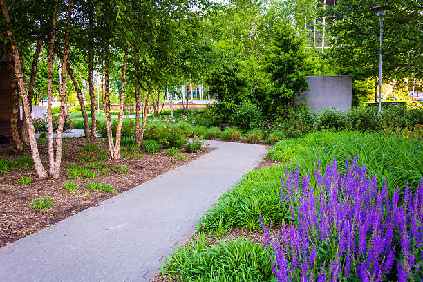 istock Garden and path in Baltimore, Maryland. 533153097
