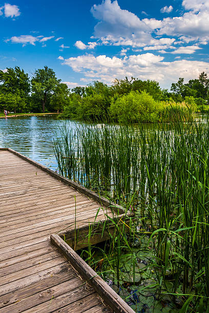 Boardwalk trail along the pond at Patterson Park, Baltimore, Maryland.
