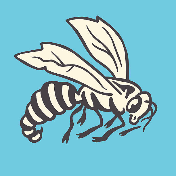 Hornet Stock Illustration - Download Image Now - Hornet, Bee, 2015 - iStock