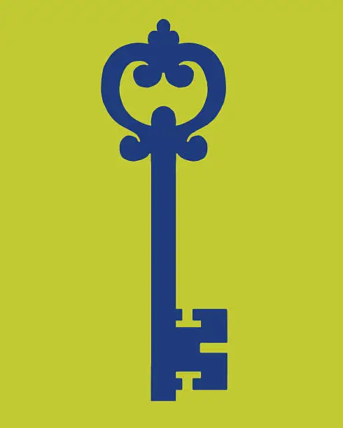 Vector illustration of Skeleton Key