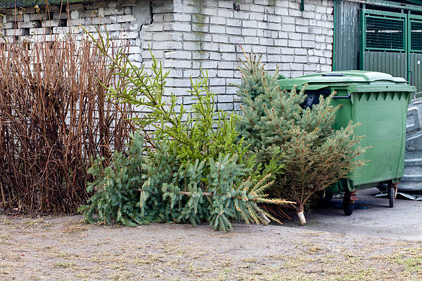 istock Christmas Is Over XXXL 533176077
