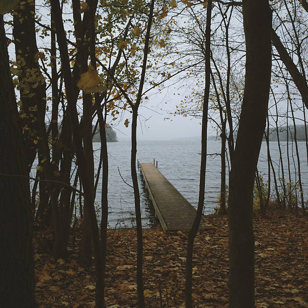 View through trees of pier at lake, Gruenewald, Germany