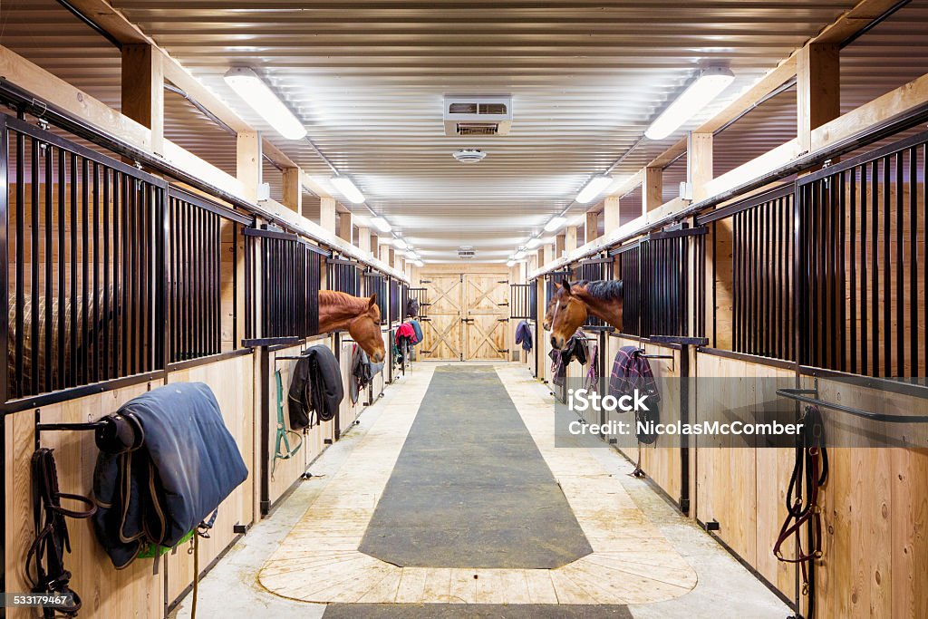 Contemporary horse stalls Contemporary horse stalls in horse riding school. Saveral horses are peeking through their windows. Stable Stock Photo