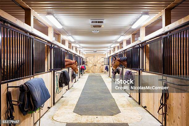 Contemporary Horse Stalls Stock Photo - Download Image Now - Stable, Horse, Barn