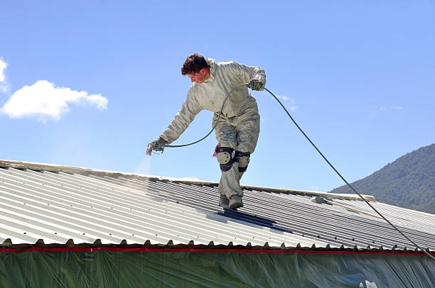 peindre le toit - roof lightweight industry architecture photos et images de collection