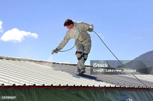 Painting The Roof Stock Photo - Download Image Now - Rooftop, Painting - Activity, White People