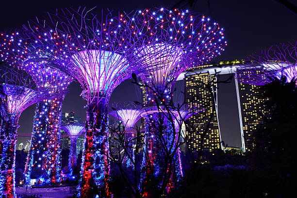 marina bay sands et les gardens by the bay, singapore. - gardens by the bay photos et images de collection