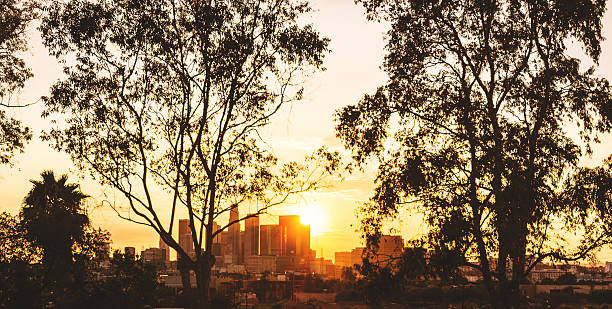 istock the Los Angeles downtown skyline 533194669