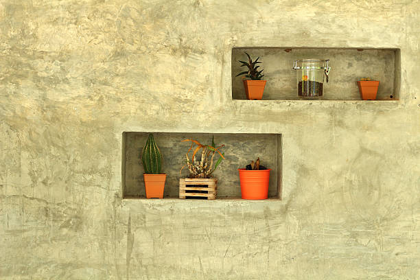 istock Potted plants for home decoration Modern Style 533196641