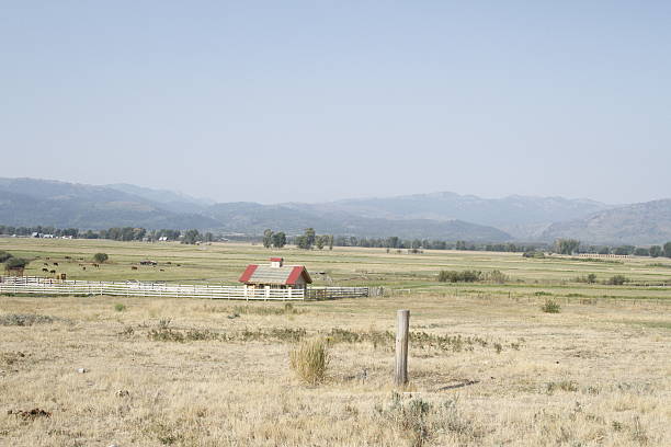 istock Yellowstone Grand Tetons 533196811