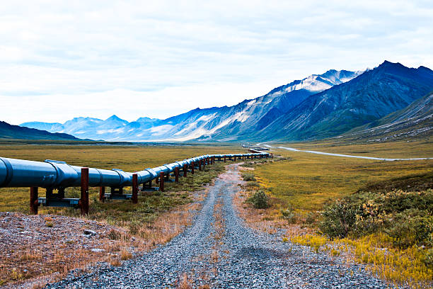 olio dell'alaska pipeline in north slope regione di alaska - north slope foto e immagini stock