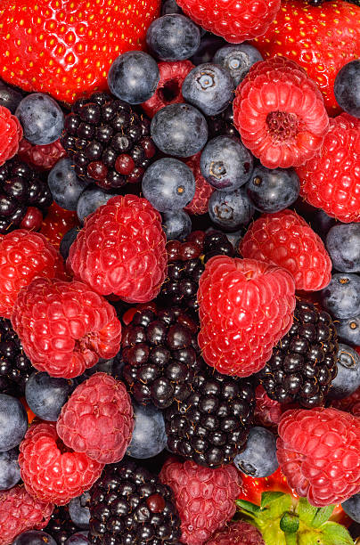 istock Background of Mix burries 533208413