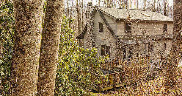 istock Log Cabin in North Carolina 533208585