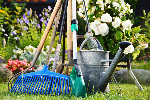 istock Watering can and tools in the garden 533208797