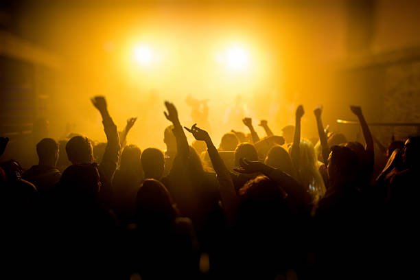 istock Group of people enjoying a concert 533213667