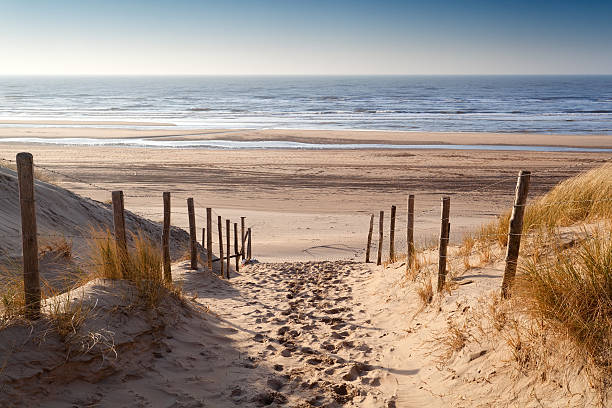 istock sand path to North sea at sunset 533214819