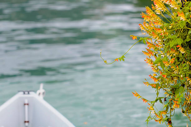 Nice orange flowers above water and boat bow not sharp
