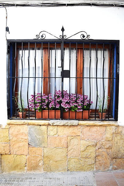 istock Typical barred window with flowers in Spain 533225362