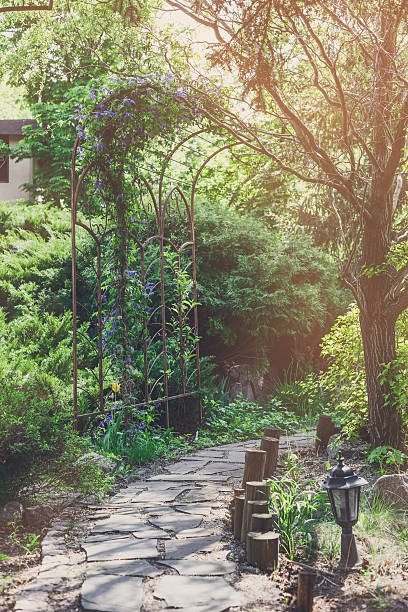 istock Landscape design, evergreen bushes and path 533225478