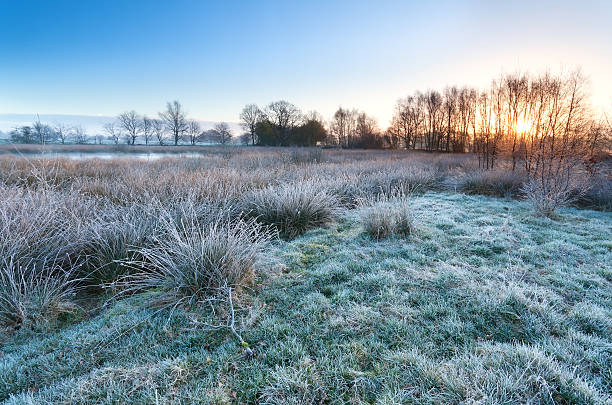 istock sunrise over marsh in cold morning 533227905