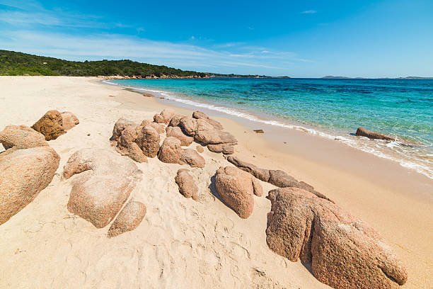 istock sand and rocks in Liscia Ruja beach 533228144