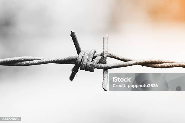 Barbed Wire Monochrome Stock Photo - Download Image Now - Barbed Wire, Cable, Dividing Line - Road Marking