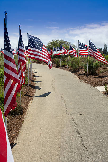istock American flags. Memorial, Independence  and Veterans Days 533229192