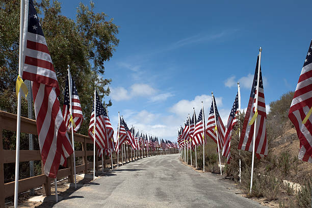 istock American flags. Memorial, Independence  and Veterans Days 533229242