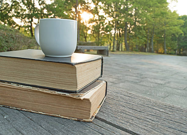 istock Book with cup on wooden bench background sunrise 533231118