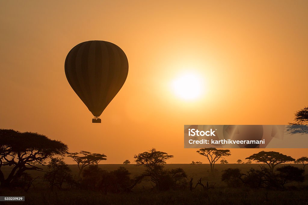 球でも夜明けセレンゲティ国立公園のがタンザニアの - 2015年のロイヤリティフリーストックフォト