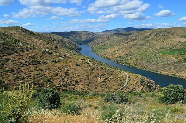 istock Douro Valley, Foz Coa - Portugal 533232063