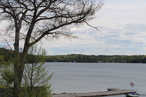 istock lake muskoka 533233714