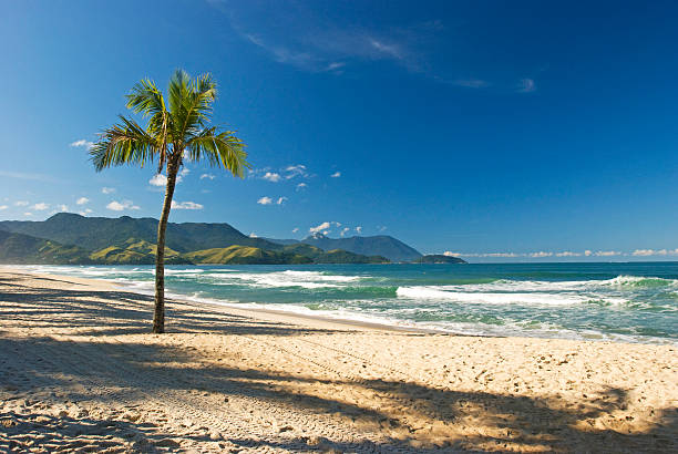 Seais Maresias beach, Brazil beaches stock pictures, royalty-free photos & images