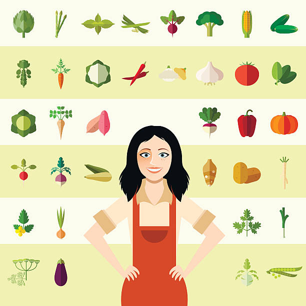 Set of vegetable icons and a gardener woman Vecctor image of the Set of vegetable icons and a gardener woman white cabbage stock illustrations