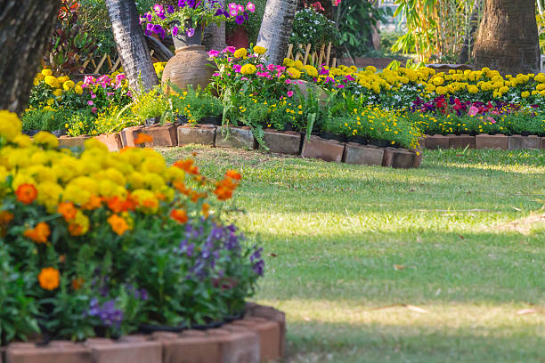istock Flowers in the garden. 533237324