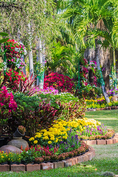 istock Flowers in the garden. 533237430