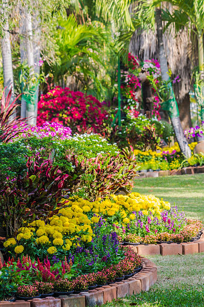 istock Flowers in the garden. 533237488