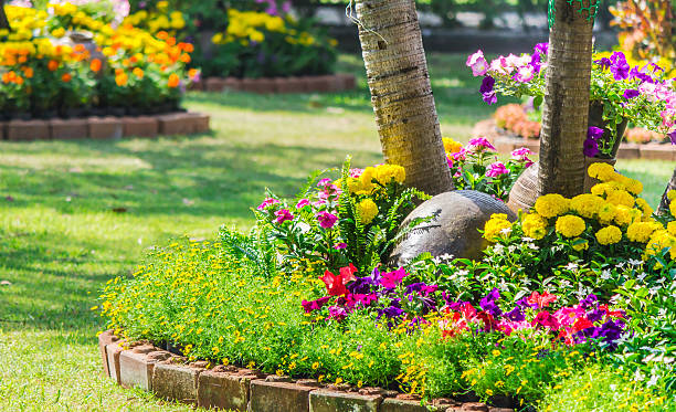 istock Flowers in the garden. 533237806