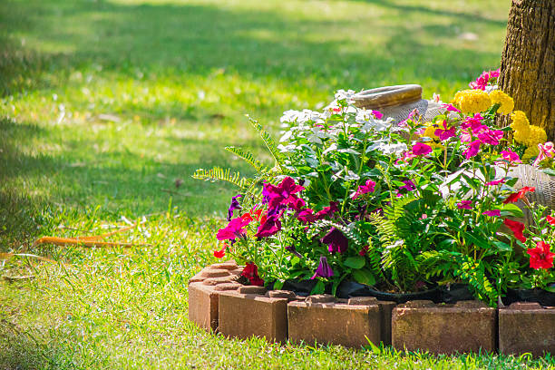istock Flowers in the garden. 533237866