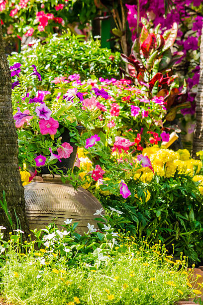 istock Flowers in the garden. 533238120